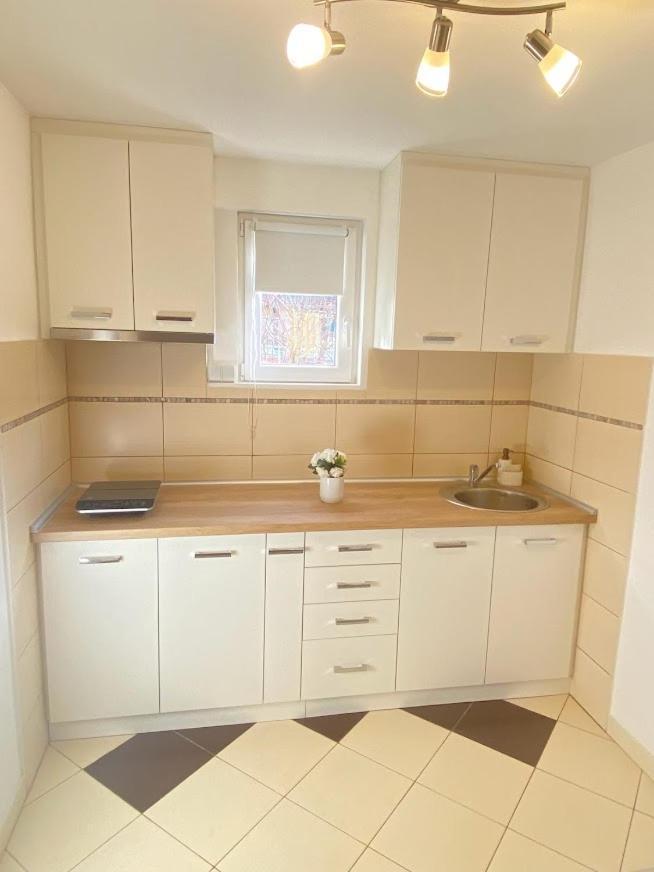 Apartman Mina Mataruska Banja 外观 照片