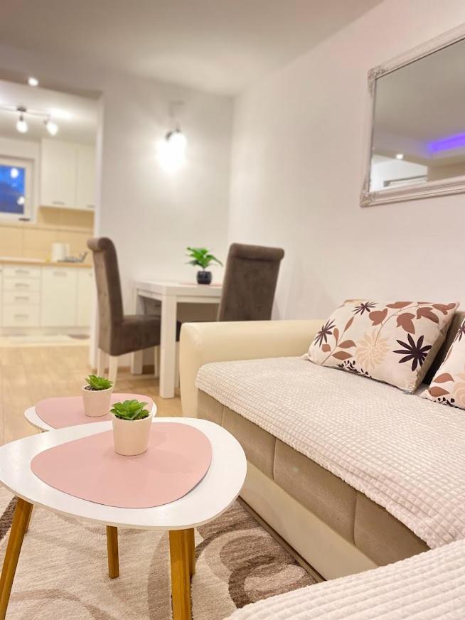 Apartman Mina Mataruska Banja 外观 照片