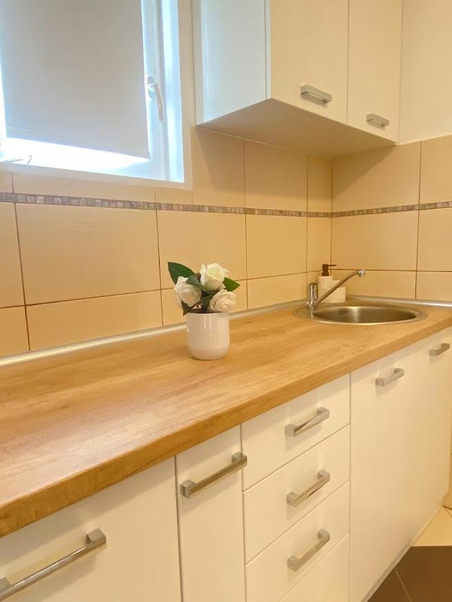 Apartman Mina Mataruska Banja 外观 照片