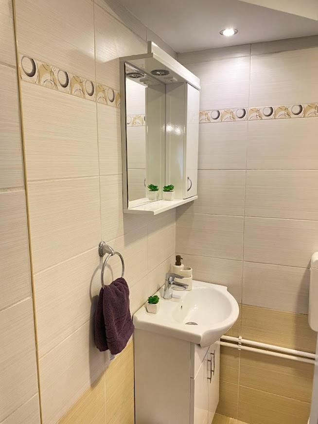 Apartman Mina Mataruska Banja 外观 照片