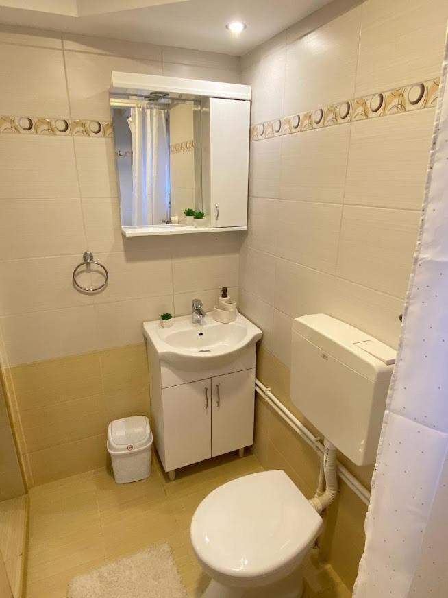 Apartman Mina Mataruska Banja 外观 照片
