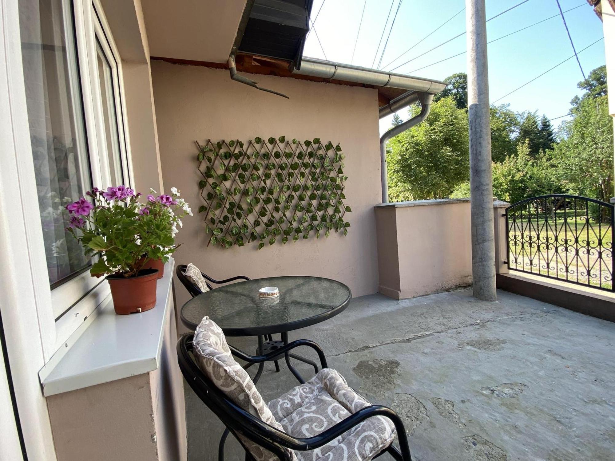 Apartman Mina Mataruska Banja 外观 照片